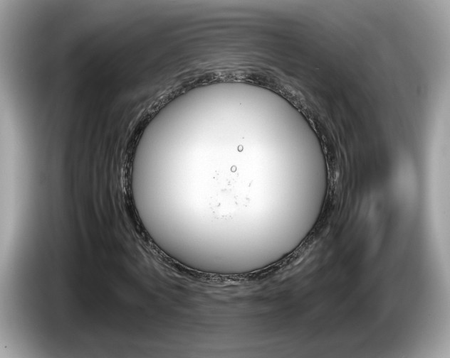 X0000086240772200703291004