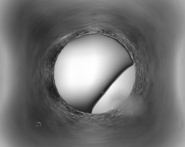 X0000086240773200703291004