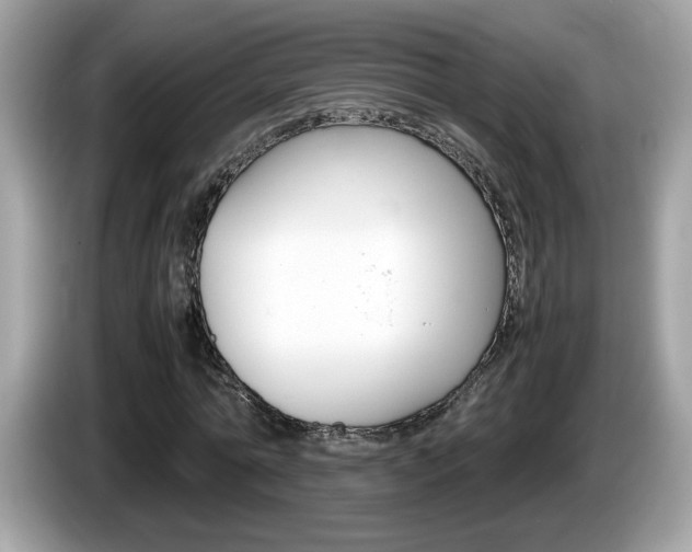 X0000086240774200703291004