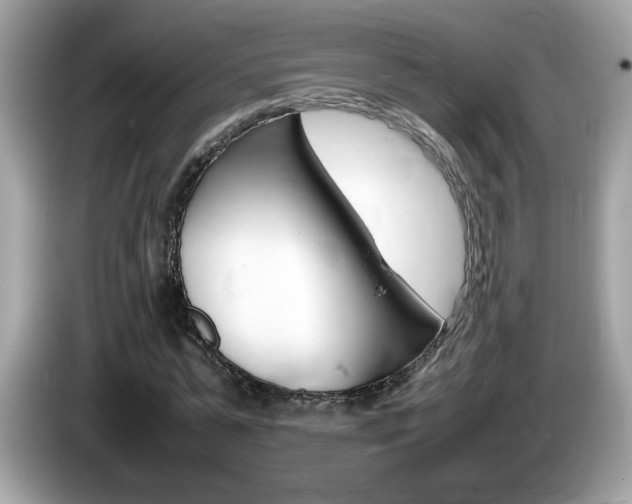 X0000086240775200703291004