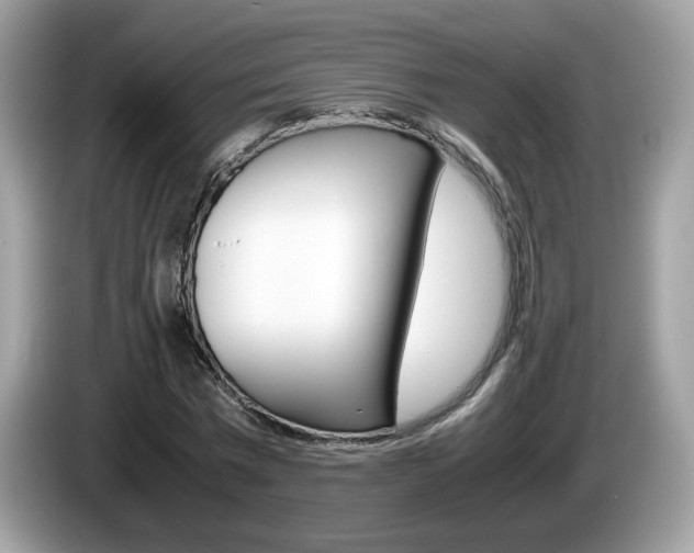 X0000086240777200703291004