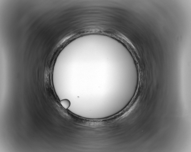 X0000086240778200703291004