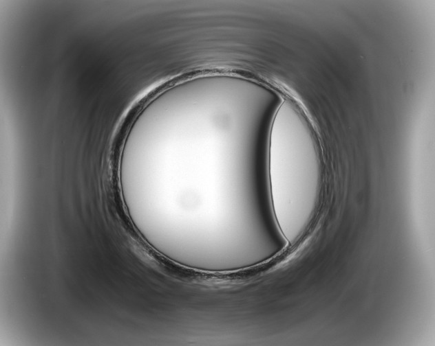 X0000086240779200703291004