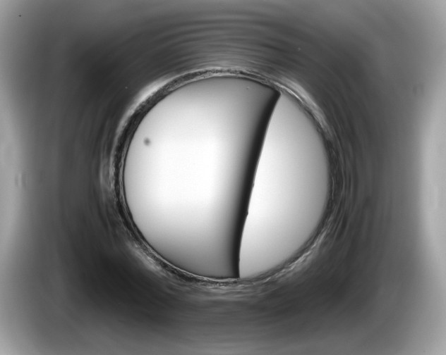 X0000086240780200703291004