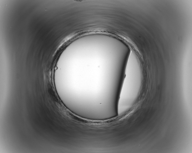 X0000086240781200703291004