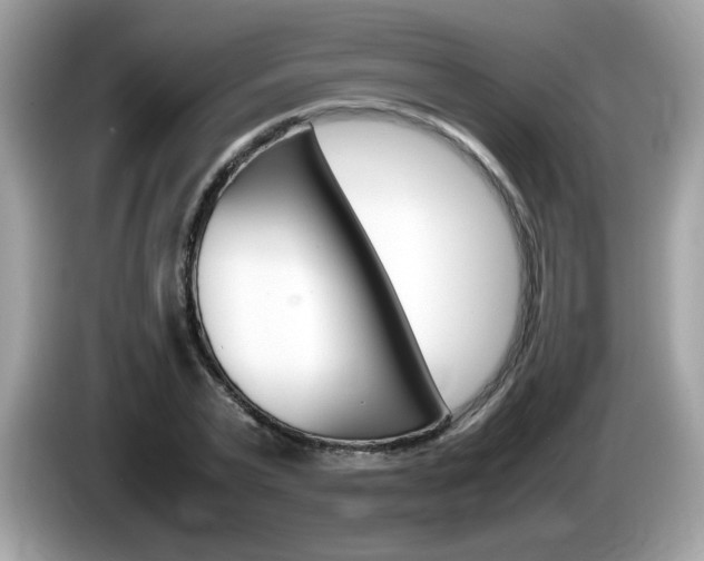 X0000086240783200703291004