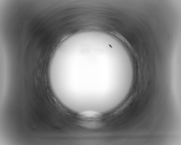 X0000086240785200703291004