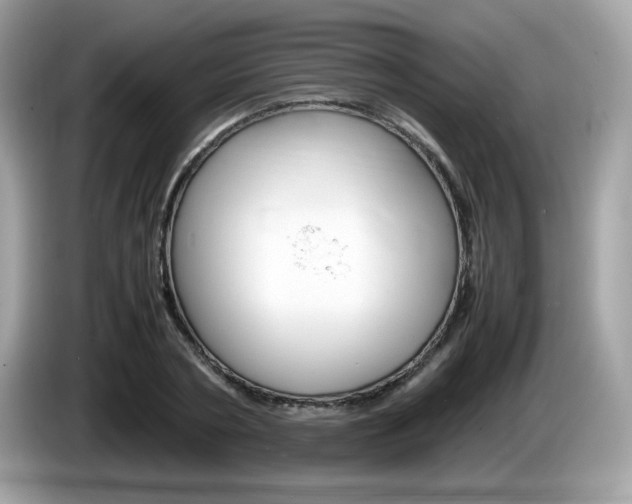 X0000086240786200703291004