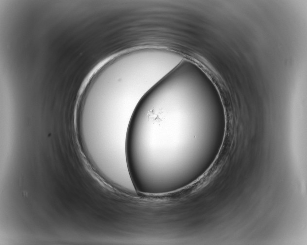 X0000086240788200703291004