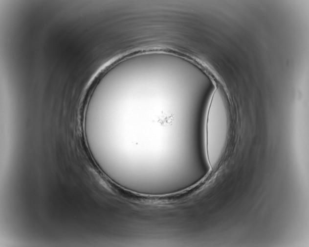 X0000086240789200703291004