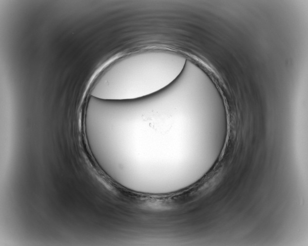 X0000086240790200703291004