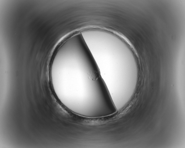 X0000086240791200703291004