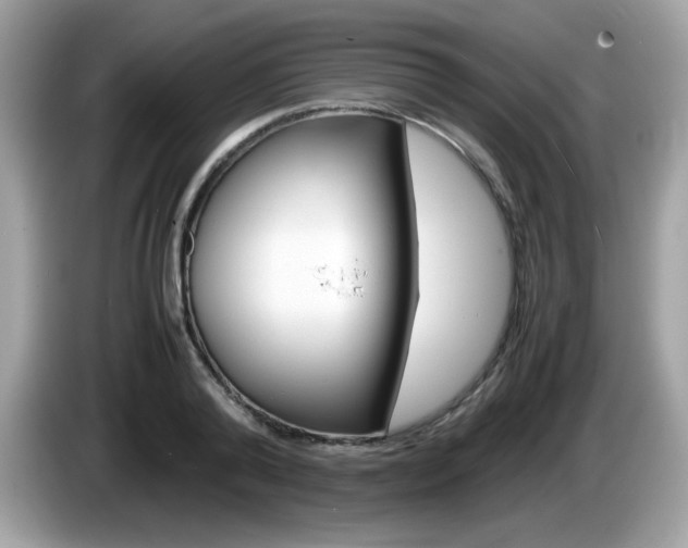 X0000086240792200703291004