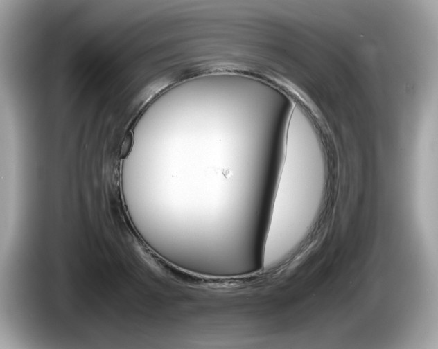 X0000086240793200703291004