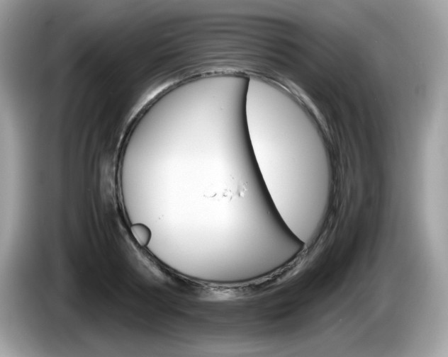 X0000086240794200703291004