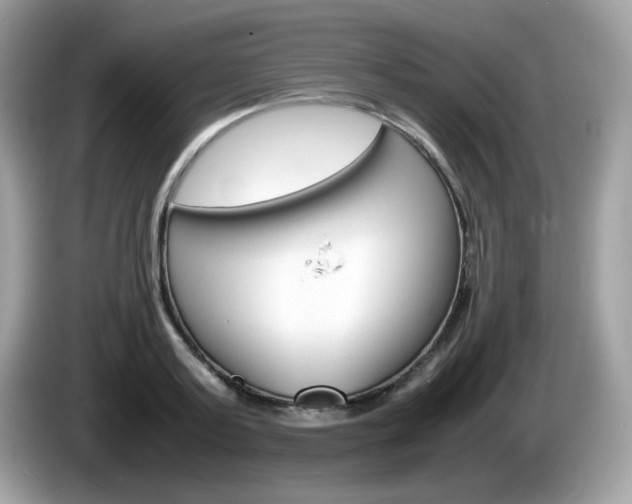 X0000086240795200703291004
