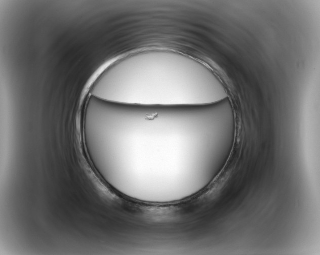 X0000086240796200703291004