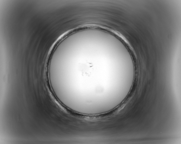 X0000086240799200703291004