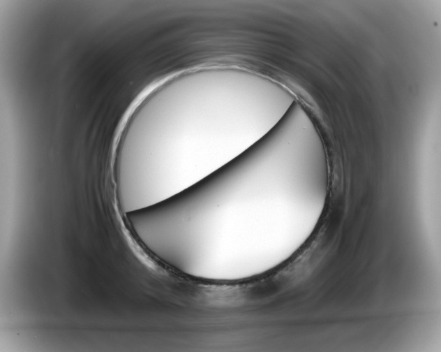 X0000086240800200703291004