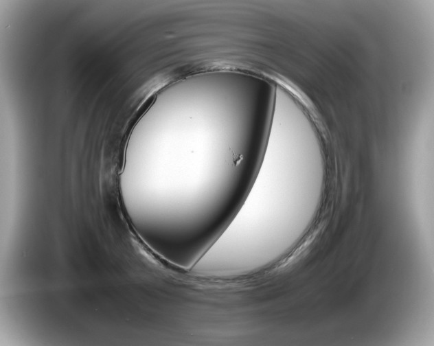 X0000086240801200703291004