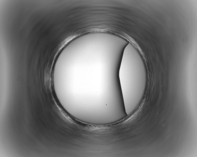 X0000086240802200703291004