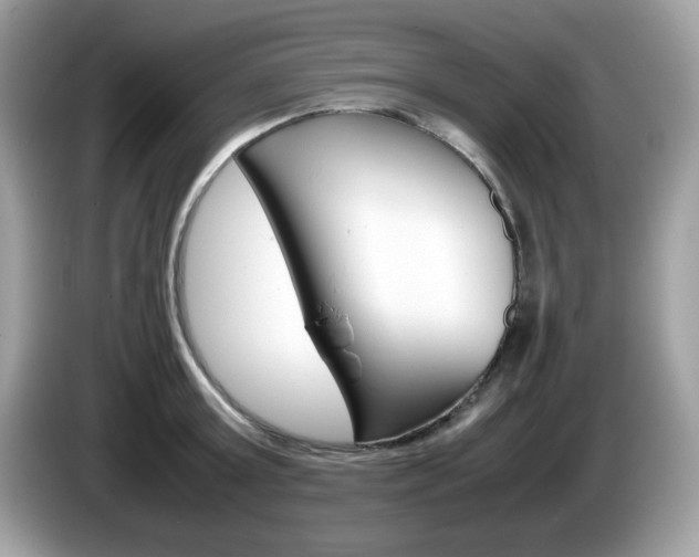 X0000086240803200703291004