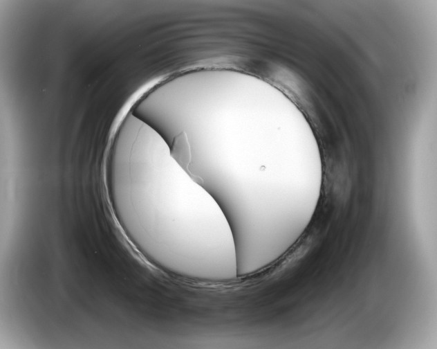 X0000086240804200703291004