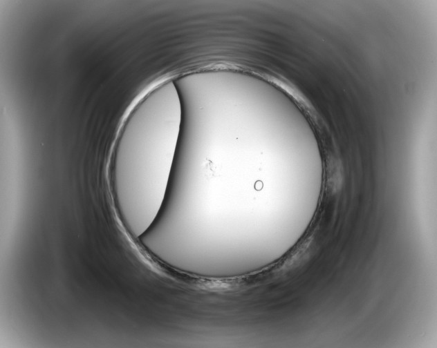 X0000086240806200703291004