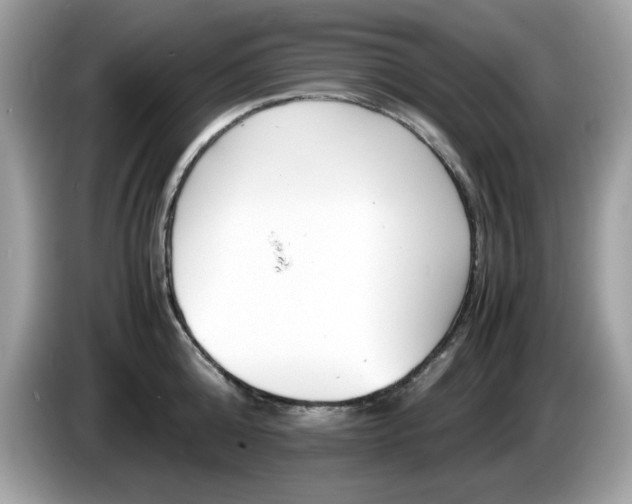 X0000086240808200703291004