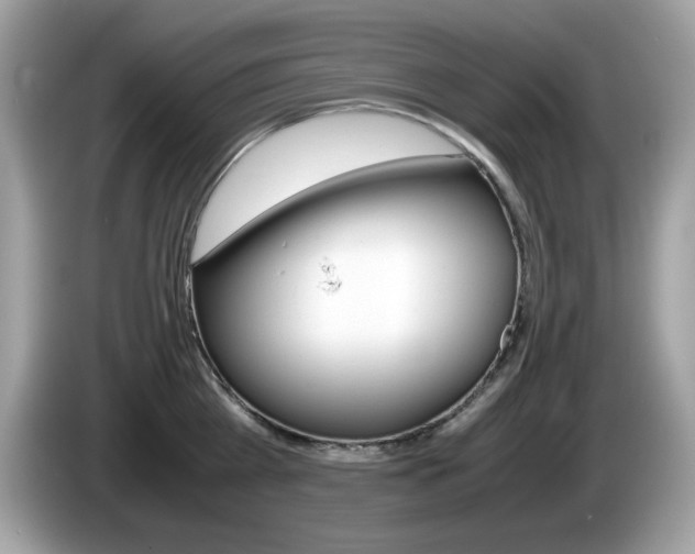 X0000086240809200703291004