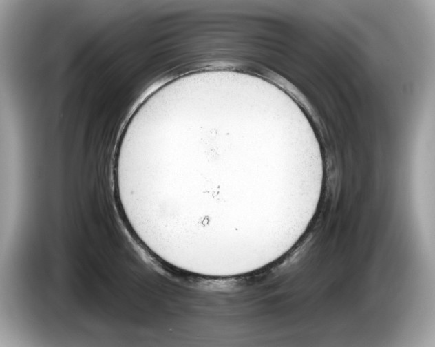 X0000086240810200703291004