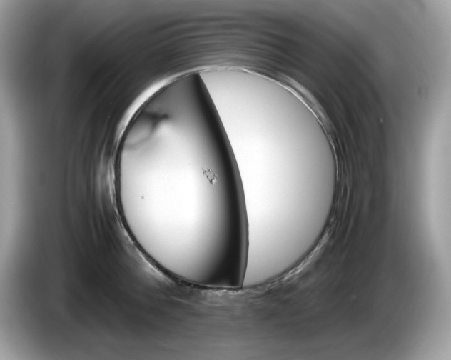X0000086240812200703291004