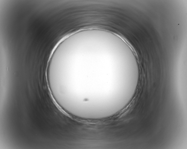 X0000086240813200703291004