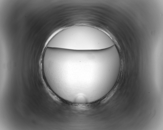 X0000086240814200703291004
