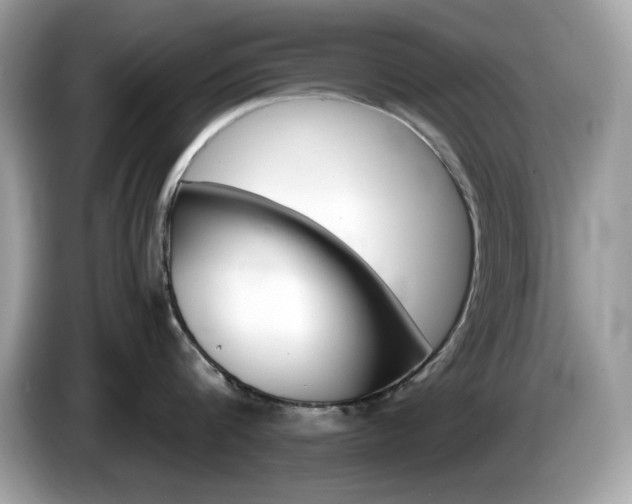 X0000086240816200703291004