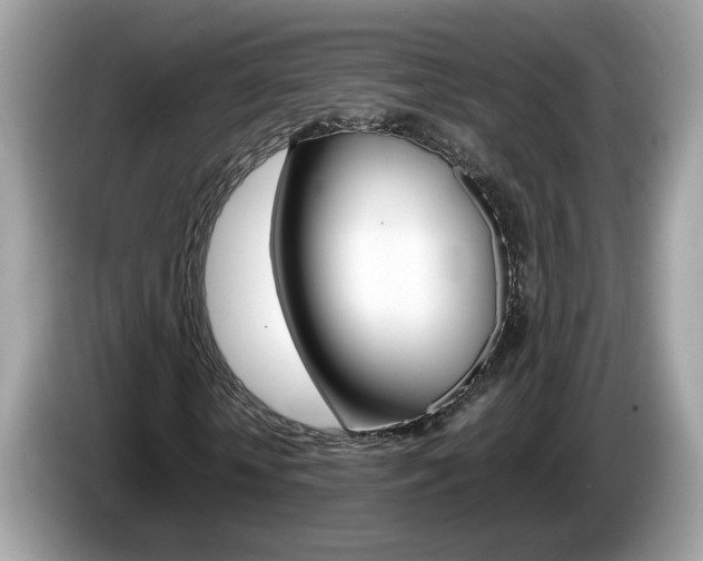 X0000086240818200703291003