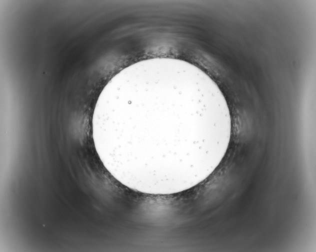 X0000086240820200703291003