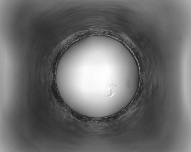X0000086240821200703291003