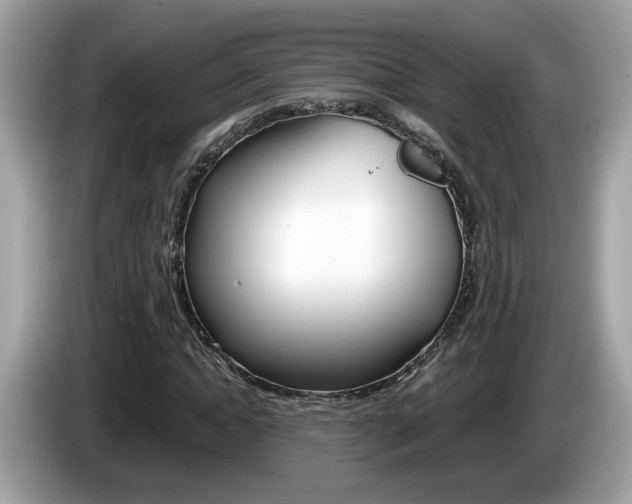 X0000086240822200703291003