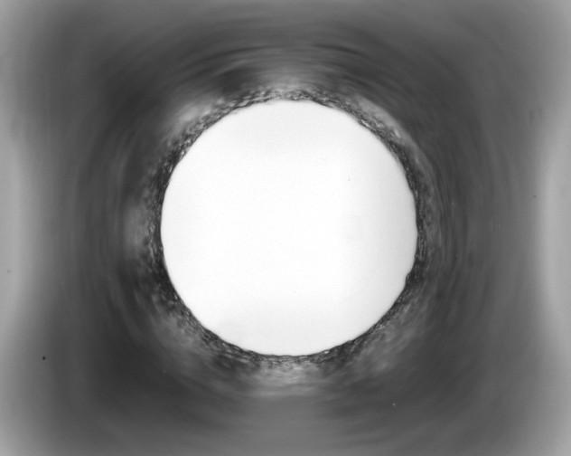X0000086240824200703291003