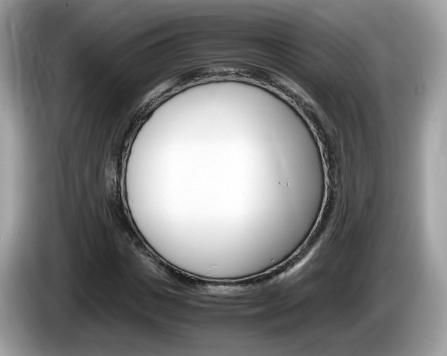 X0000086240825200703291003