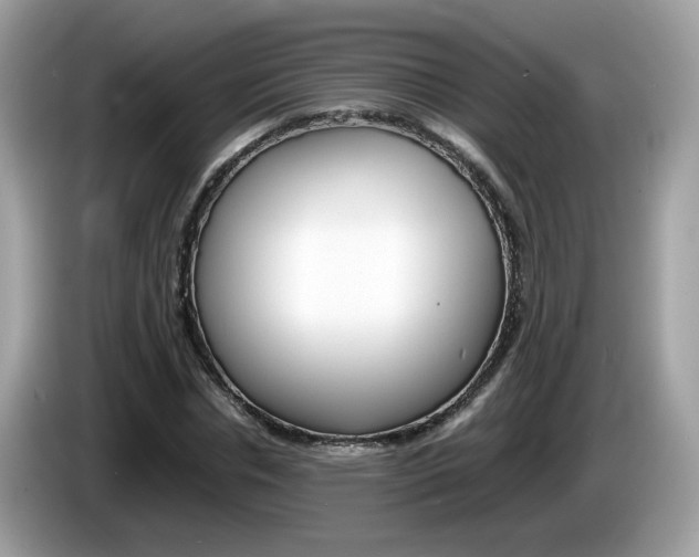 X0000086240826200703291003