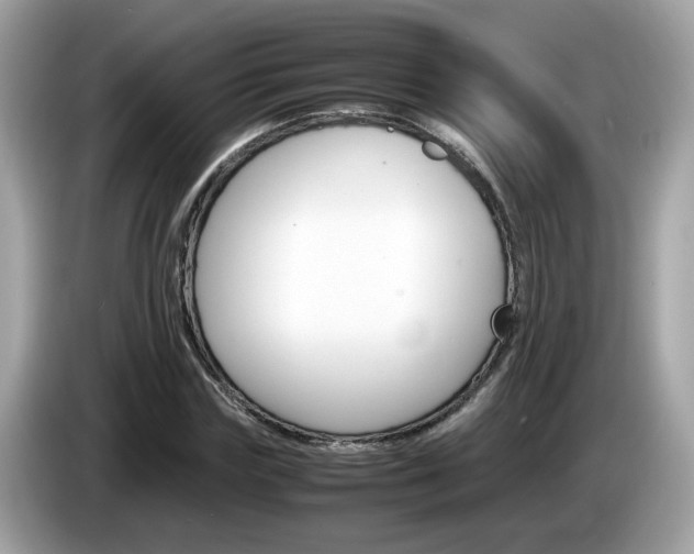 X0000086240827200703291003