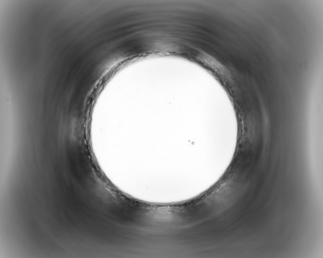 X0000086240828200703291003