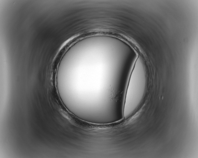 X0000086240830200703291003