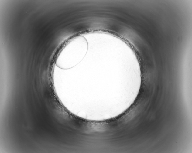 X0000086240832200703291003