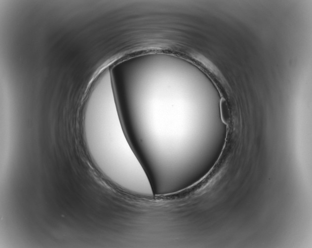 X0000086240834200703291003