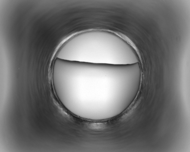 X0000086240839200703291003