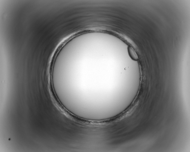 X0000086240840200703291003
