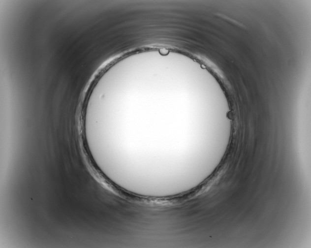 X0000086240848200703291003